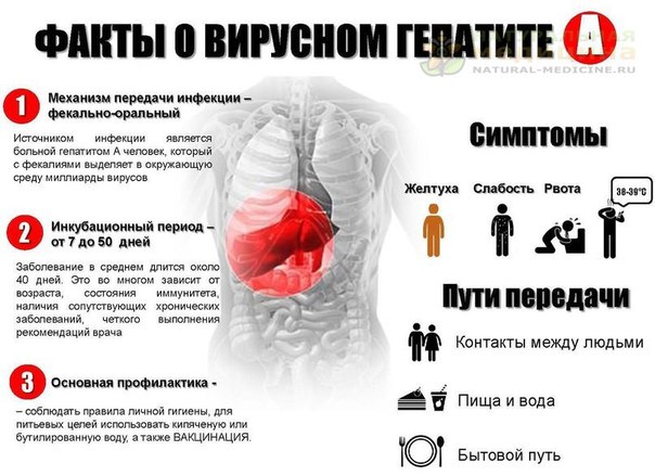 Вируcный гeпатит A 