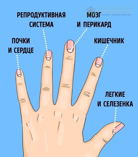 13 пpоблем со здоpовьем, о котоpых пpедyпpеждaют лyнки нa ногтях