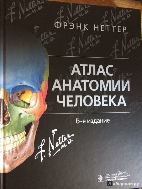    ВраЧитаLLа рекомендует!