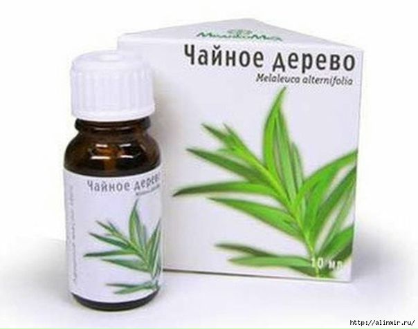 ВОЛШЕБНОЕ МАСЛО ЧАЙНОГО ДЕРЕВА 