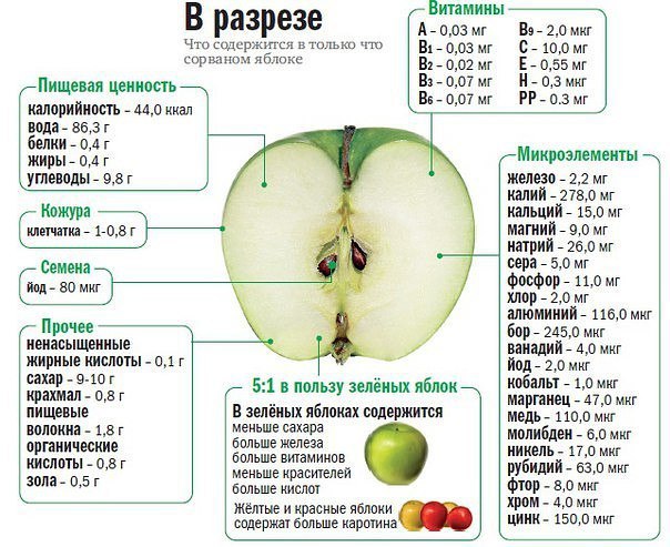 Яблоко замедляет процессы старения 