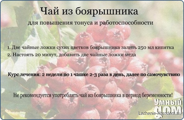 Исцеляющие рецепты на основе боярышника.